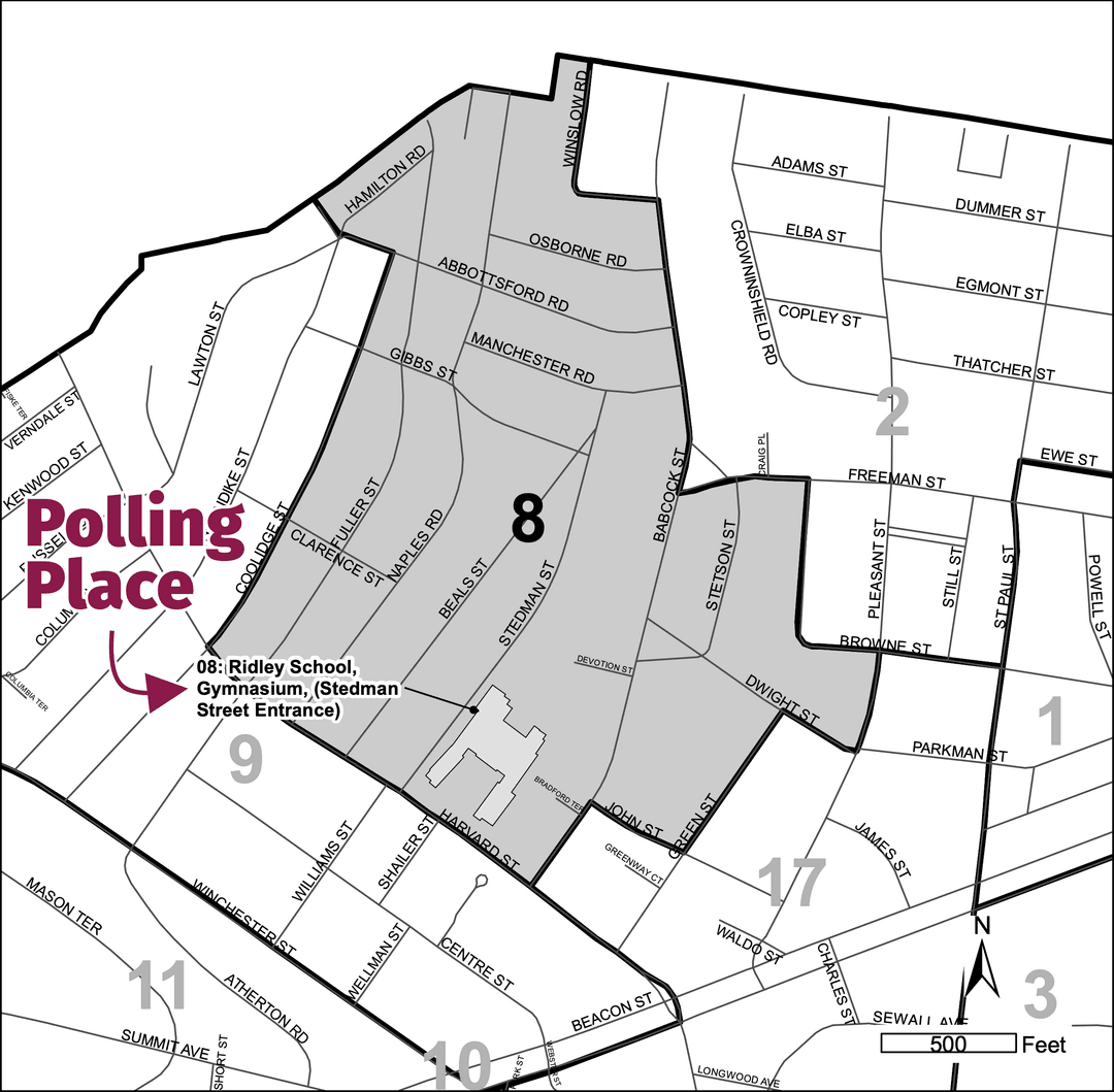 Map of Brookline Precinct 8 boundaries